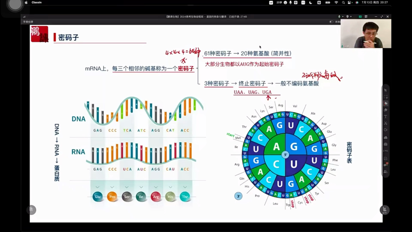 基因的转录翻译生物高三课程需要私信哔哩哔哩bilibili