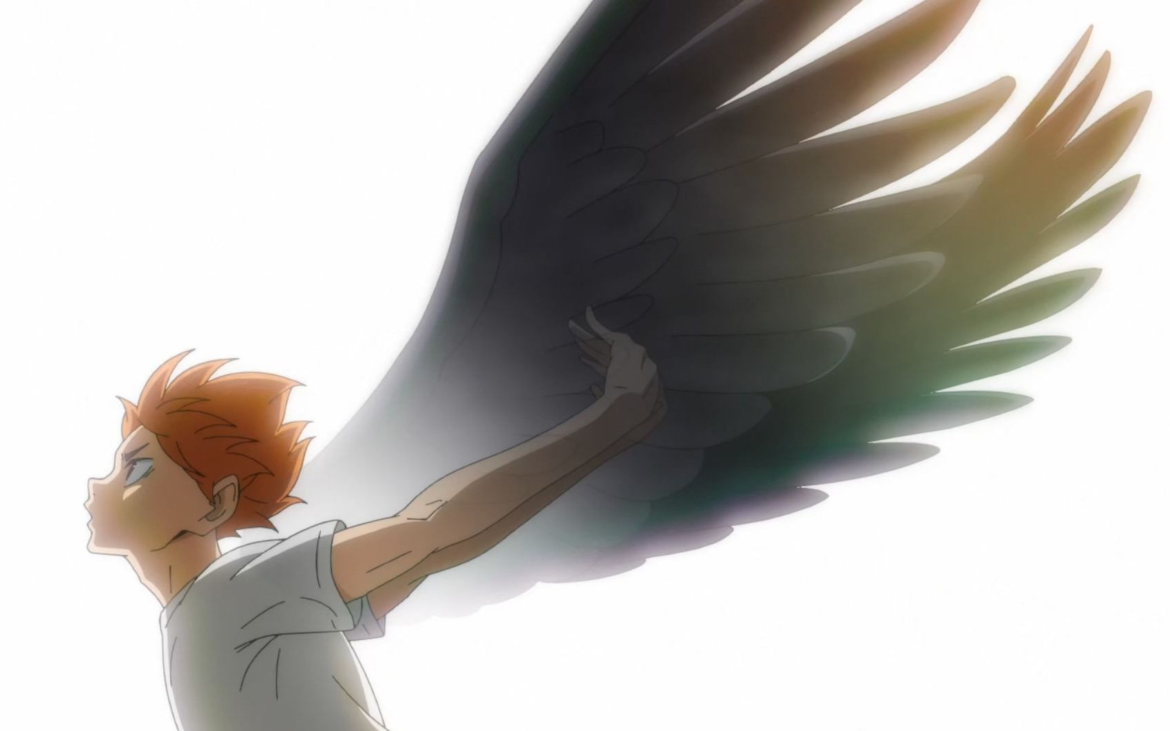 排球少年没落乌野在线起飞