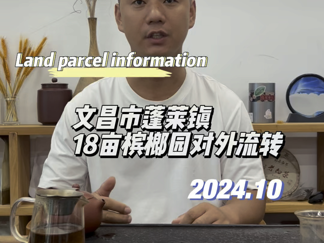 文昌市蓬莱镇18亩槟榔园对外流转哔哩哔哩bilibili