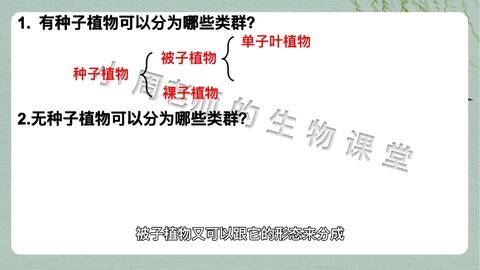 尝试对生物进行分类重难点一 植物分类根据有无种子可以分成什么呢 初中生物 植物分类 种子植物 哔哩哔哩