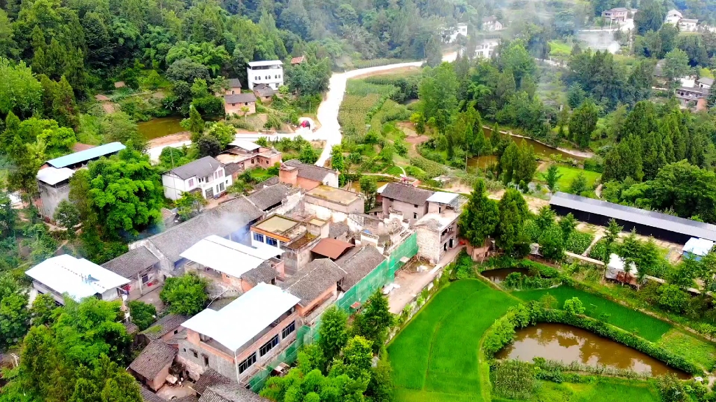 云阳凤鸣镇道路规划图片