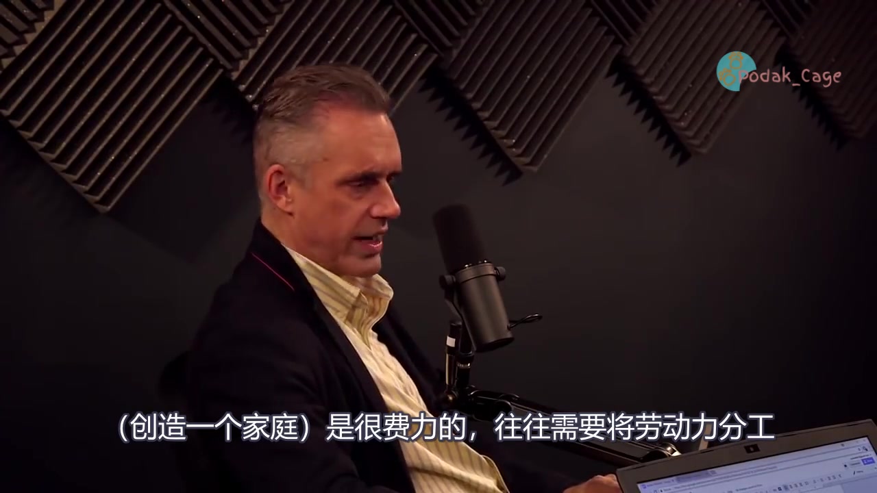 [图]【熟肉】Advice for Strong Relationships from Jordan Peterson 如何经营一段强韧的婚姻