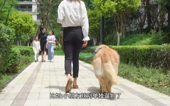 文明人养文明犬——“犬”靠你代言!哔哩哔哩bilibili