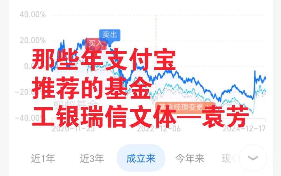 那些年支付宝推荐的基金工银瑞信文体—袁芳哔哩哔哩bilibili