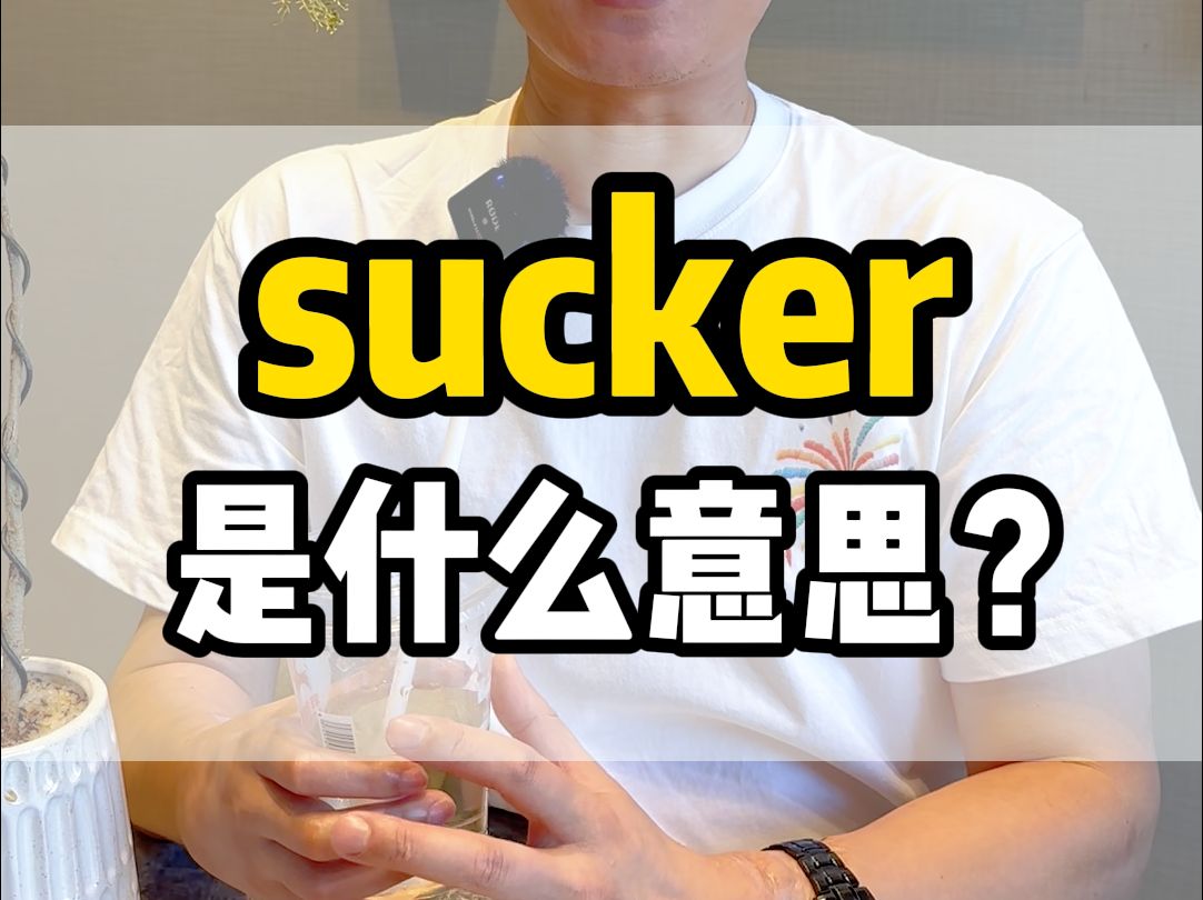 老外常说的Sucker是说吸管吗?哔哩哔哩bilibili