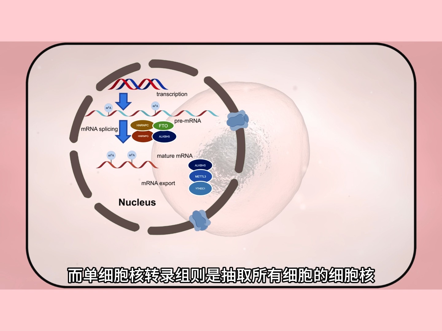 单核scRNA会碰到的坑有哪些哔哩哔哩bilibili