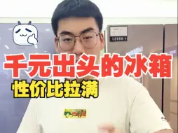 Download Video: 双门冰箱和三门冰箱的区别真的就只有一个门吗？？？