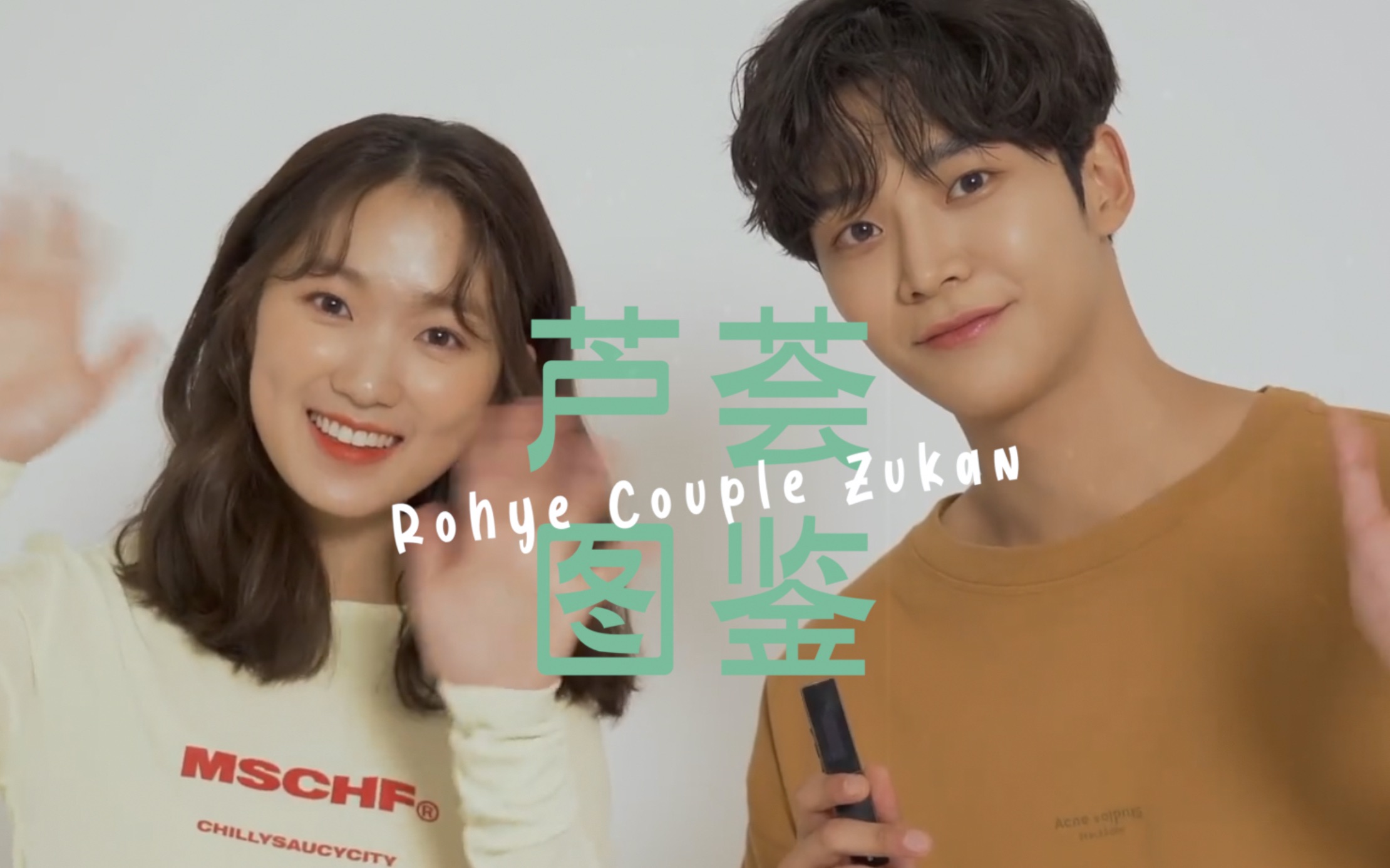 芦荟迷惑行为图鉴金路云金惠允feat李宰旭rohyecouplezukan