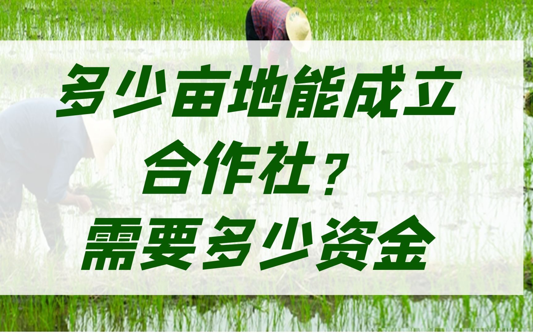 多少亩地能成立合作社?成立合作社需要多少资金?哔哩哔哩bilibili