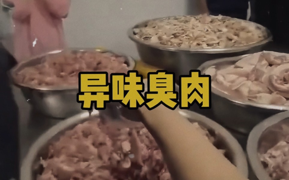 大型纪录片《食堂臭肉》哔哩哔哩bilibili