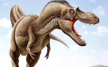 蛇发女妖戈尔冈——平衡蛇发女怪龙