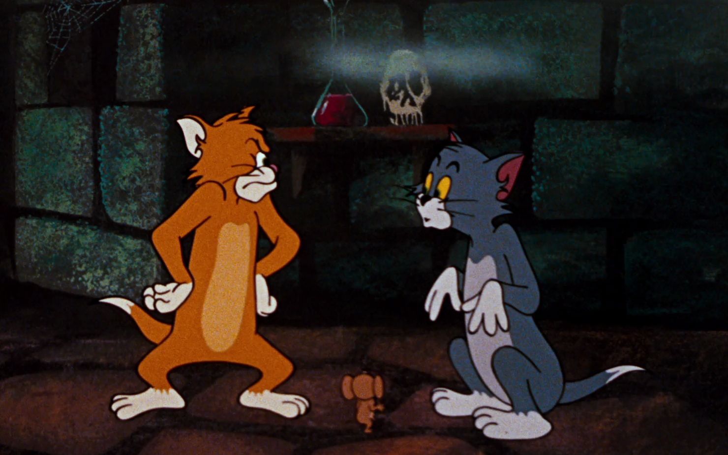 猫和老鼠 猫狗互换 switchinkitten 2