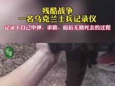 真实战争的残酷!乌克兰士兵记录下自己中弹后,无助痛苦绝望中死去的全过程哔哩哔哩bilibili