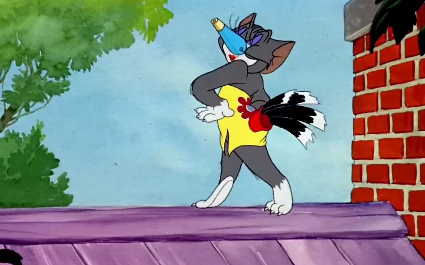 "每日一遍,防止emo"#猫和老鼠 "世界奇奇怪怪,我陪你可可爱爱" (3)