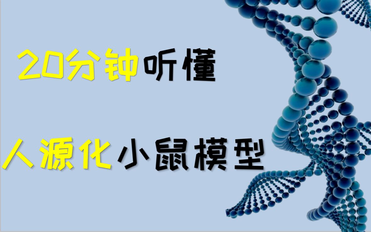 【人源化小鼠模型】/20分钟就能听懂的最全“人源化小鼠”介绍哔哩哔哩bilibili