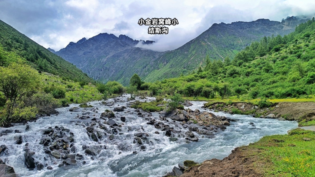 小金岩窝下结斯沟,河谷中草原花海牛马成群,全是诗与远方的世界哔哩哔哩bilibili