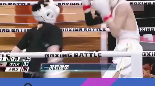 “王晨艺”一拳打倒“张大大”！