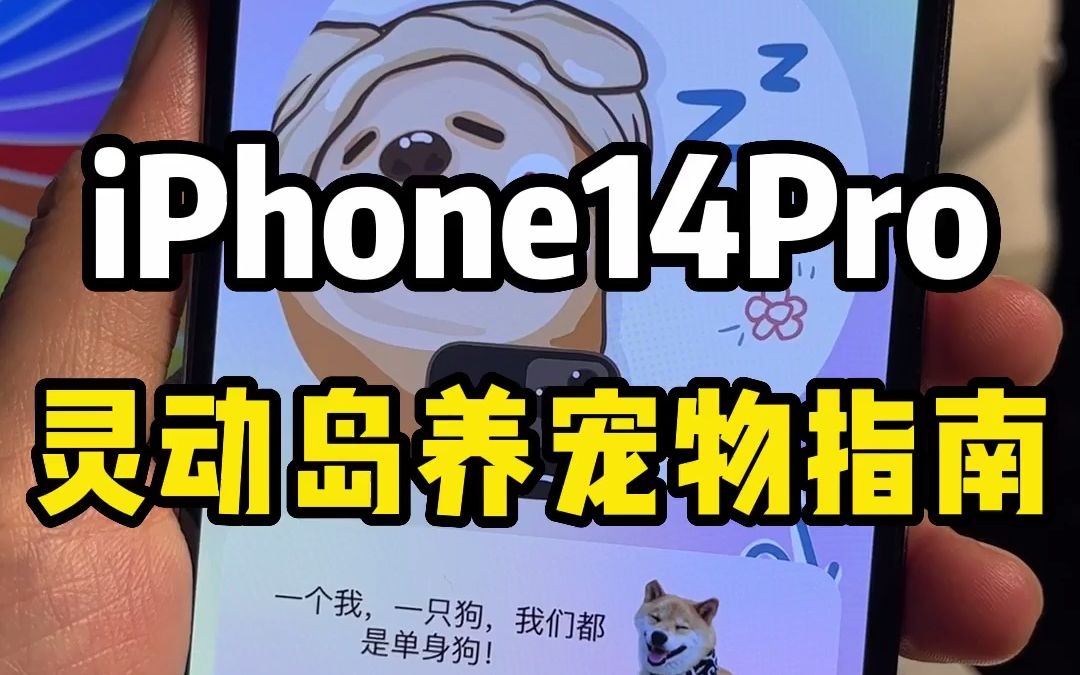 iPhone14Pro灵动岛养宠物指南,2个简单操作养一只小宠物吧哔哩哔哩bilibili