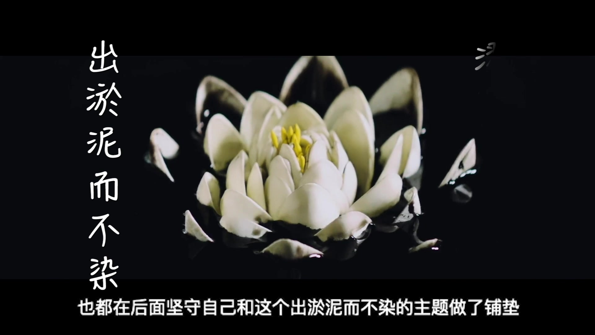 张艺兴《莲》mv赏析!