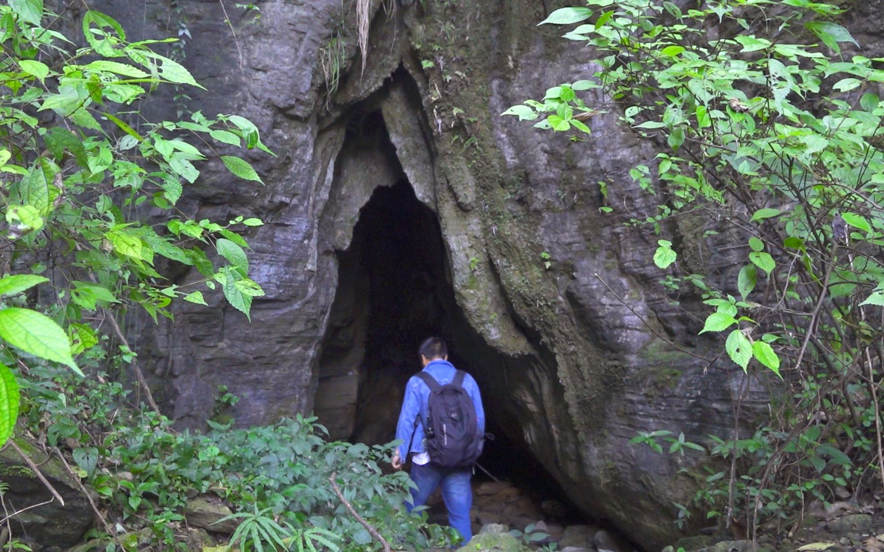 这个山洞里到底有什么进去看一下洞口这么小里面却非常的深一般人胆小