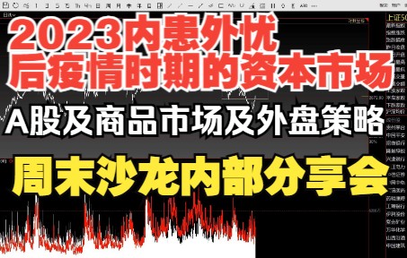 2022.12.10 《内患外忧2023,后疫情时代对资本市场影响》周末沙龙内部策略分享会哔哩哔哩bilibili