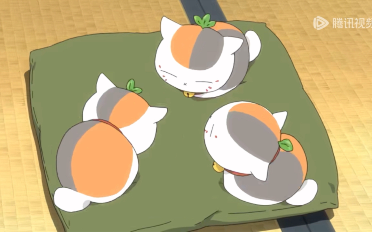 猫咪老师变成三小只