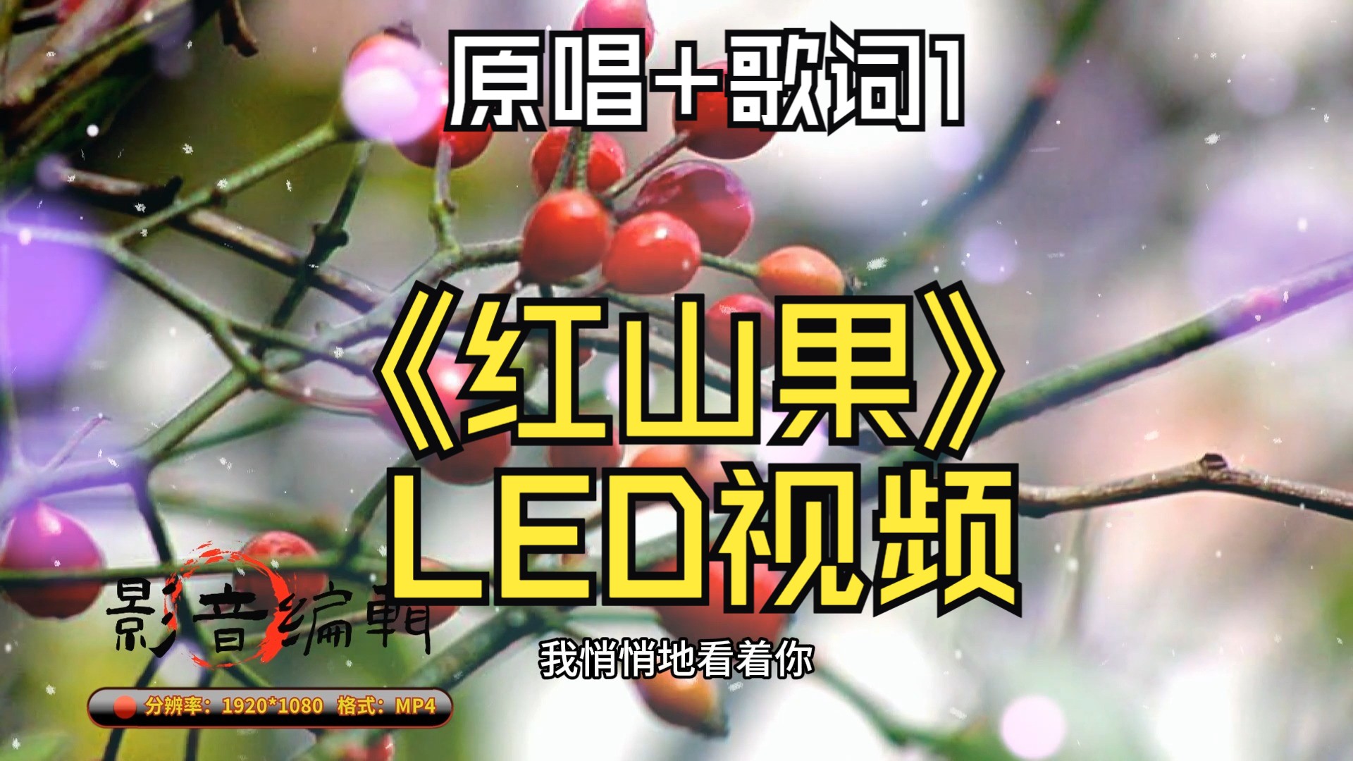 【视频制作】01《红山果》led视频(原唱 歌词)