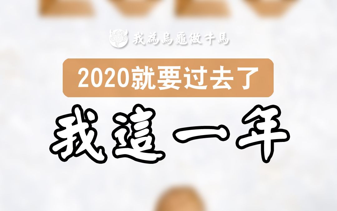 养龟人的2020年就这样过去了这一年我做了些啥