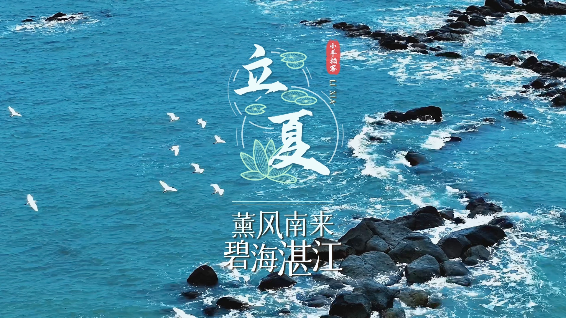 薰风南来,碧海湛江.连雨轻去,夏日始启哔哩哔哩bilibili