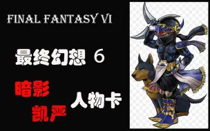 Download Video: FF6人物 生平介绍 杀手暗影和武士凯严