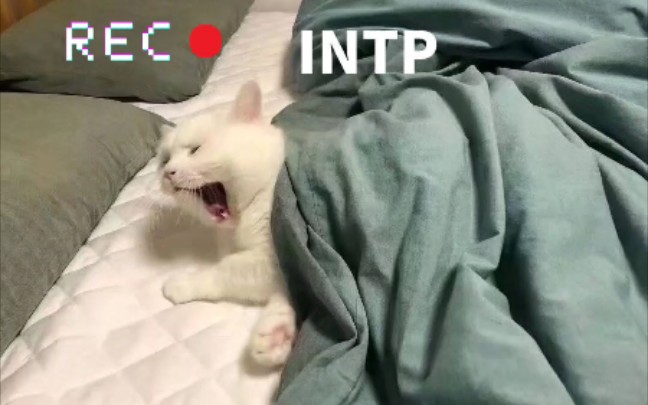 intp相关meme(图片来源网络)哔哩哔哩bilibili