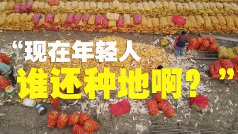 现代农业，没钱已经种不起地了