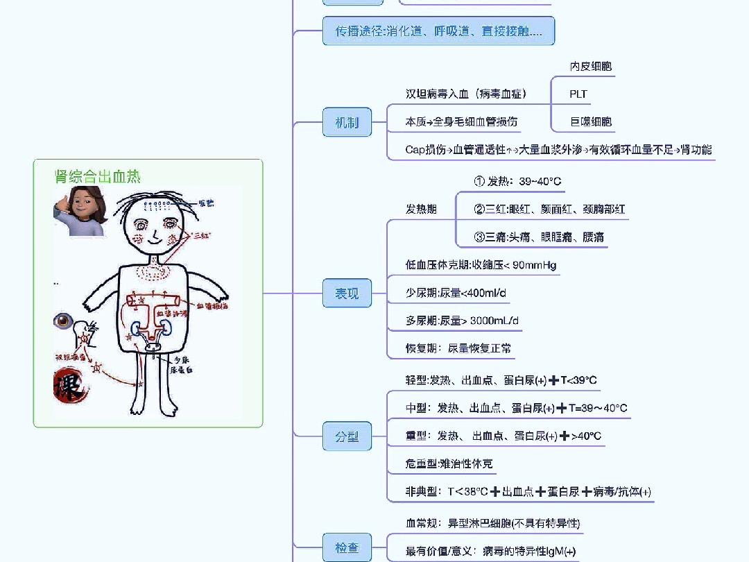 传染性疾病肾综合征出血热(思维导图知识卡片)哔哩哔哩bilibili