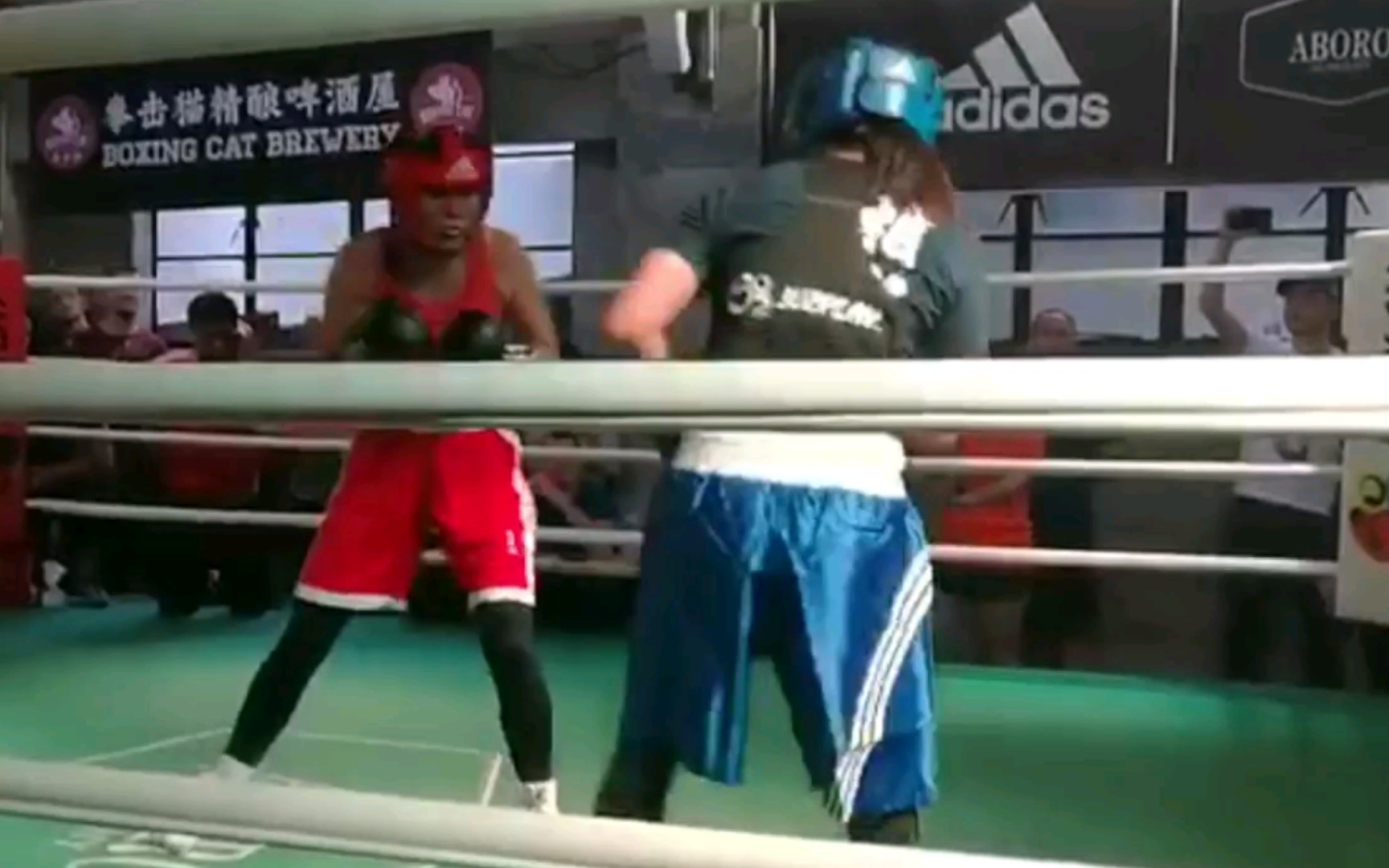 2017 阿波罗Aboro KO7 重拳出击57kg女子拳击【比赛视频】哔哩哔哩bilibili