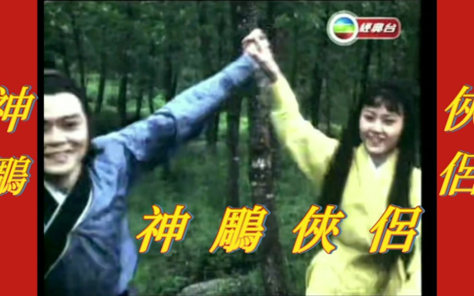 【神雕侠侣1976版】38-大国手-大国手-哔哩哔哩视频