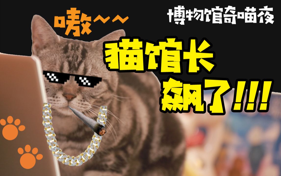 [图]【博物馆奇喵夜】猫馆长飙了！！！