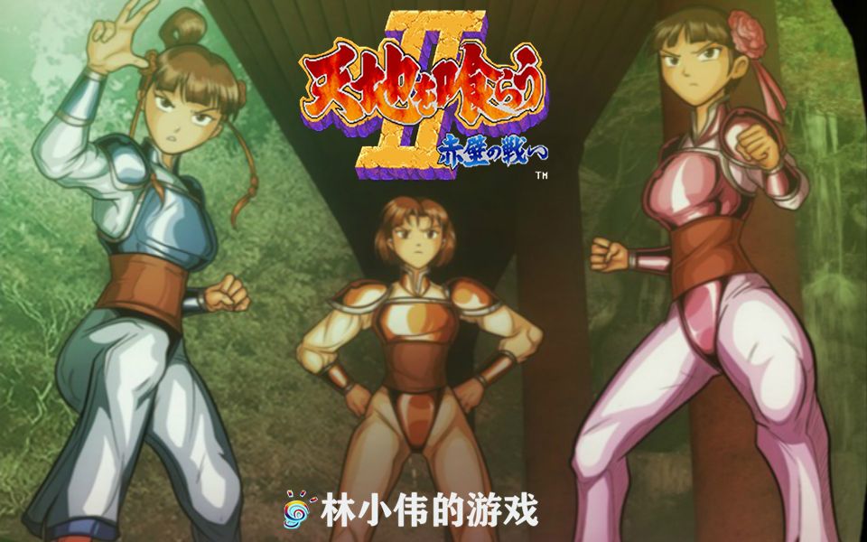 街机经典游戏:三国志2带兵版 我和美美一起战斗的日子