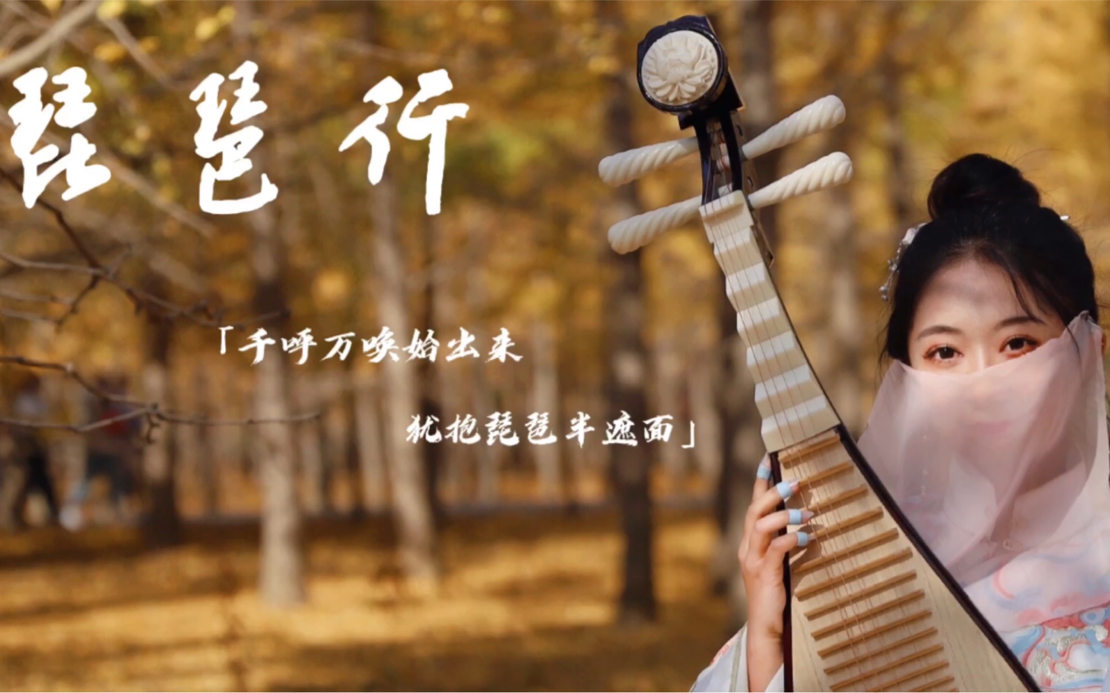 琵琶琵琶行完整版千呼万唤始出来犹抱琵琶半遮面