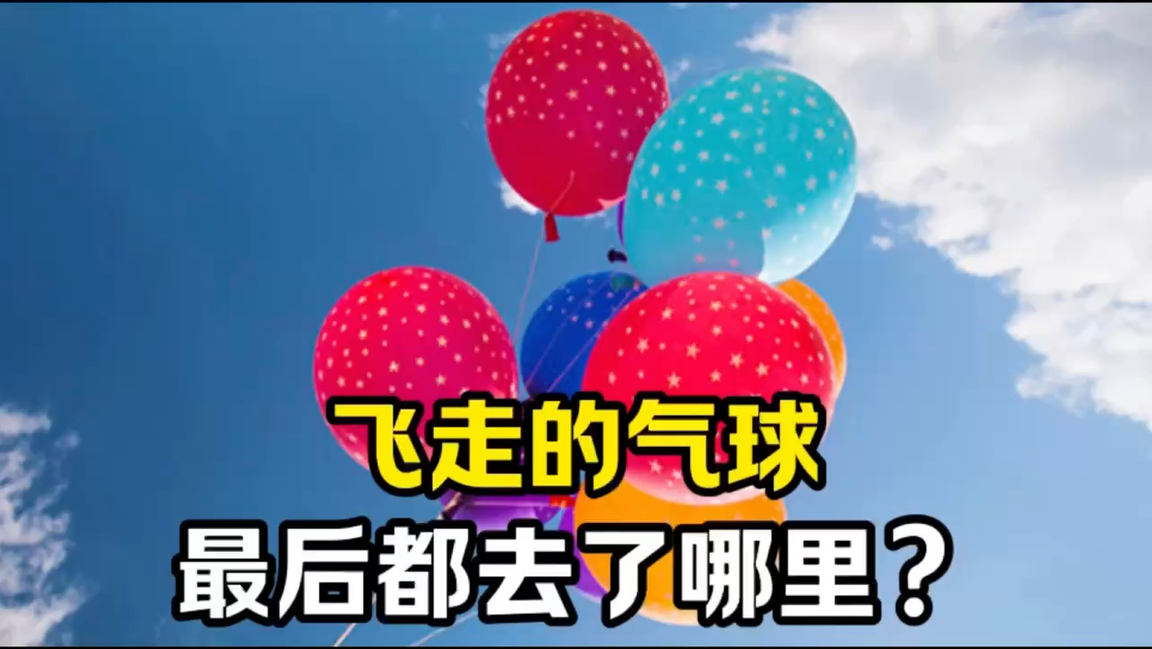 飞走的气球,最后都去了哪里?