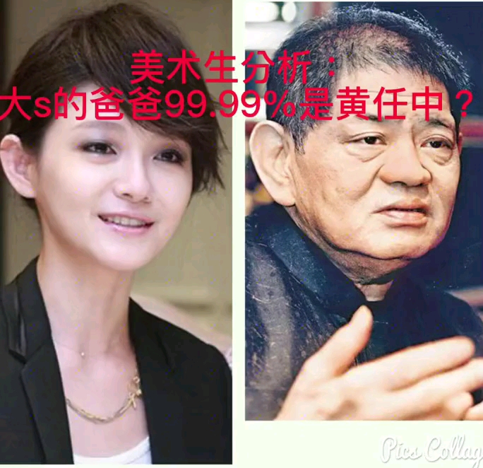 美术生的角度分析大s的亲生爸爸徐坚vs黄任中and黄春梅哔哩哔哩bilibili