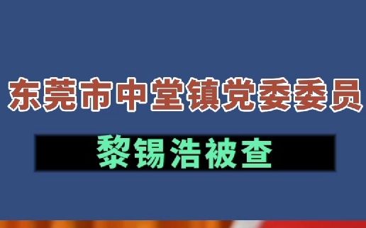 东莞市中堂镇党委委员黎锡浩被查哔哩哔哩bilibili