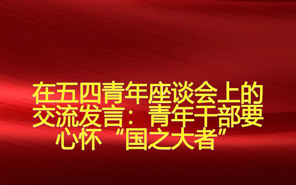 在五四青年座谈会上的交流发言:青年干部要心怀“国之大者”哔哩哔哩bilibili