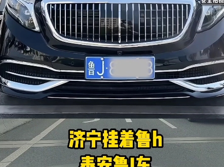 山东车牌之歌,朗朗上口,真的太上头了……#山东车牌 #每天一个用车小