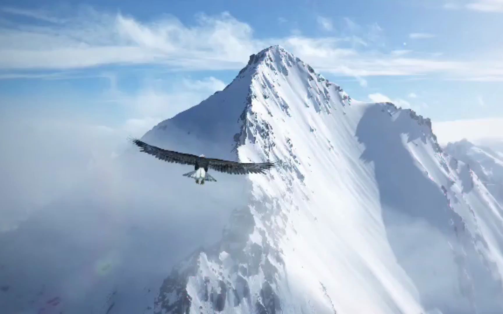 活动  翻越雪山的鹰