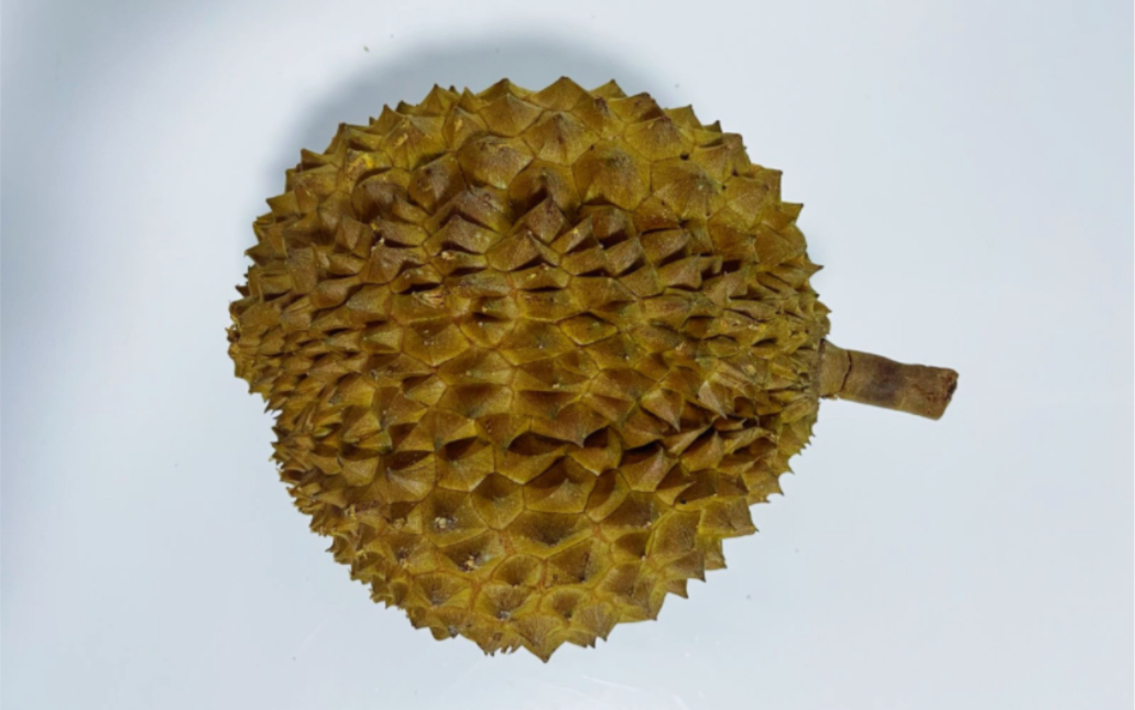 186 | 菲律宾普雅 ]深夜馋榴莲,1km之内只能买到它!