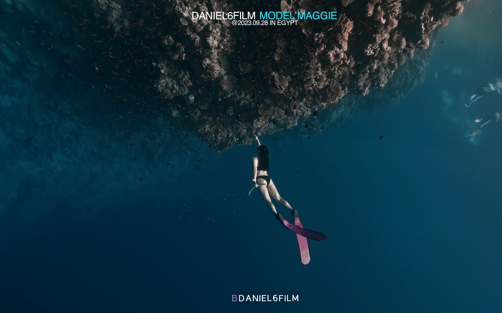 9092埃及红海dahab蓝洞自由潜水水下摄影