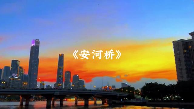 安和橋一響,路邊的狗都有遺憾.