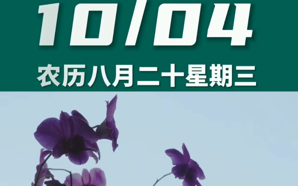 早上好啊今天是2023年10月4日星期三 天秤座农历八月二十 乙未日十二建除的开日 天德黄道日,喜神在西北 财神在东北幸运数字:7、8哔哩哔哩bilibili