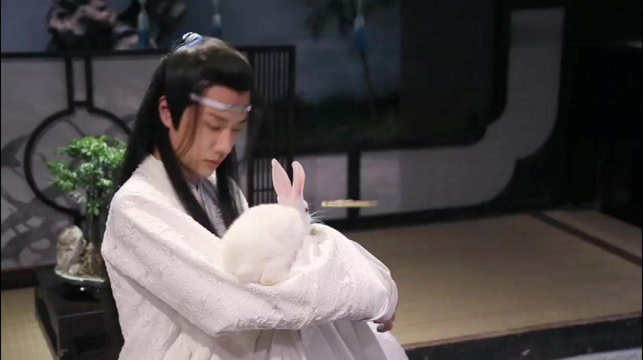 《陈情令》花絮,王一博戏外与兔子互动好可爱