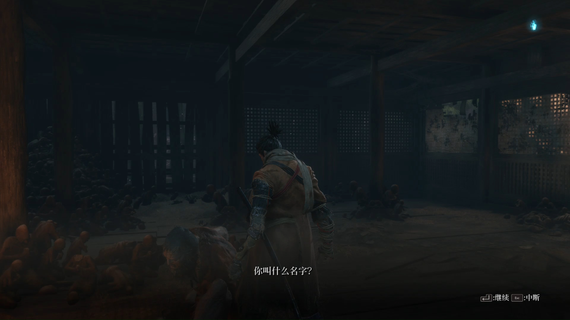 只狼全佛珠葫芦种子1